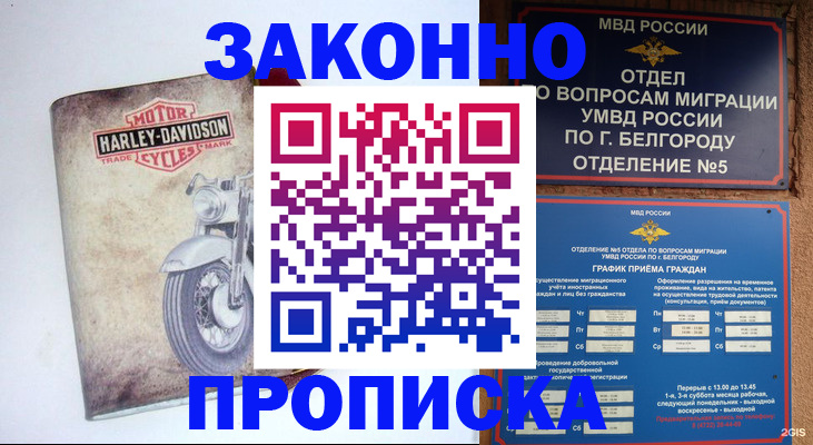 прописка для школы в Череповце